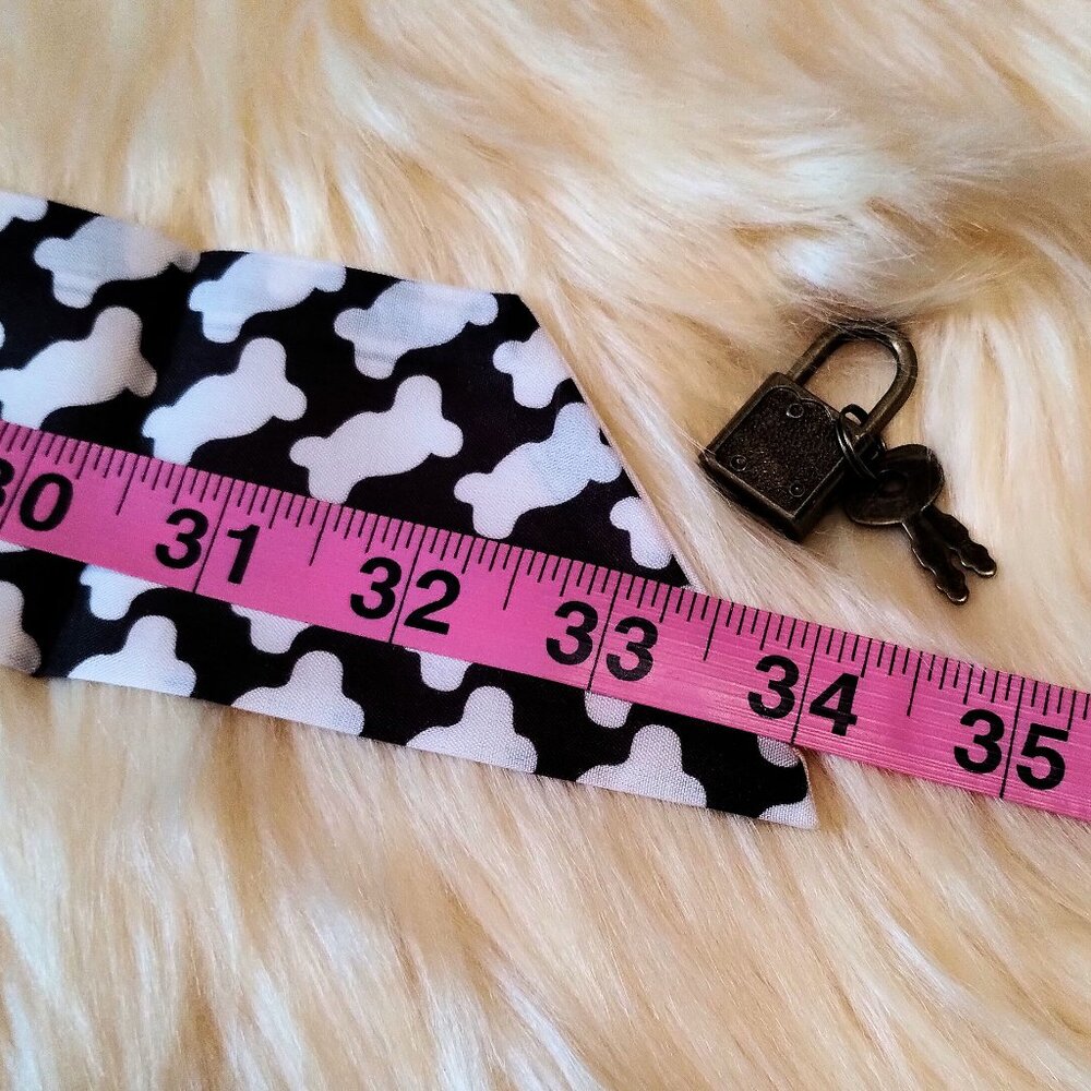 Woof! Dog Bone Scarf and Lock and Key Set - Picture 4 of 4